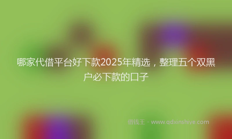 哪家代借平台好下款2025年精选，整理五个双黑户必下款的口子