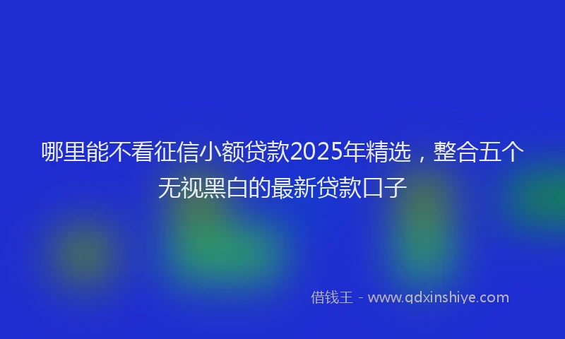 哪里能不看征信小额贷款2025年精选，整合五个无视黑白的最新贷款口子