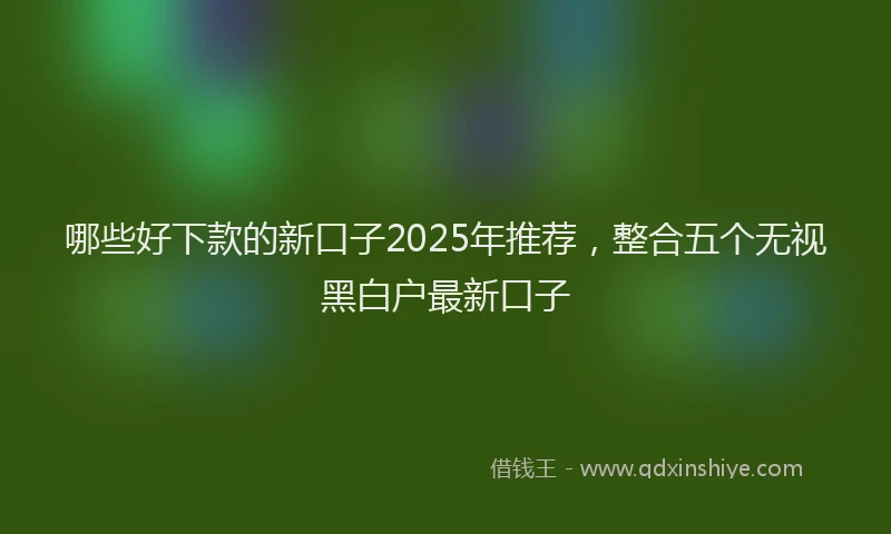 哪些好下款的新口子2025年推荐，整合五个无视黑白户最新口子