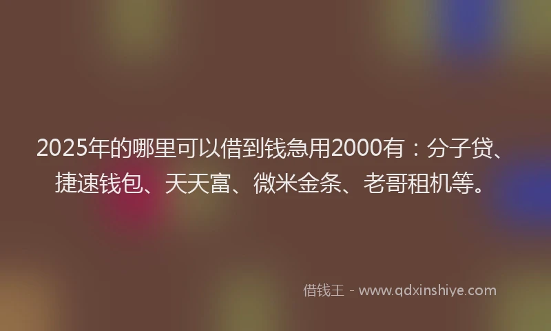 2025年的哪里可以借到钱急用2000有：分子贷、捷速钱包、天天富、微米金条、老哥租机等。