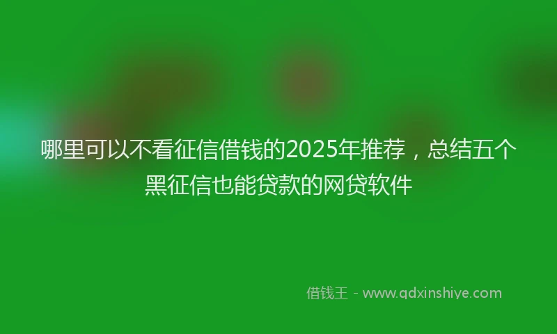 哪里可以不看征信借钱的2025年推荐，总结五个黑征信也能贷款的网贷软件