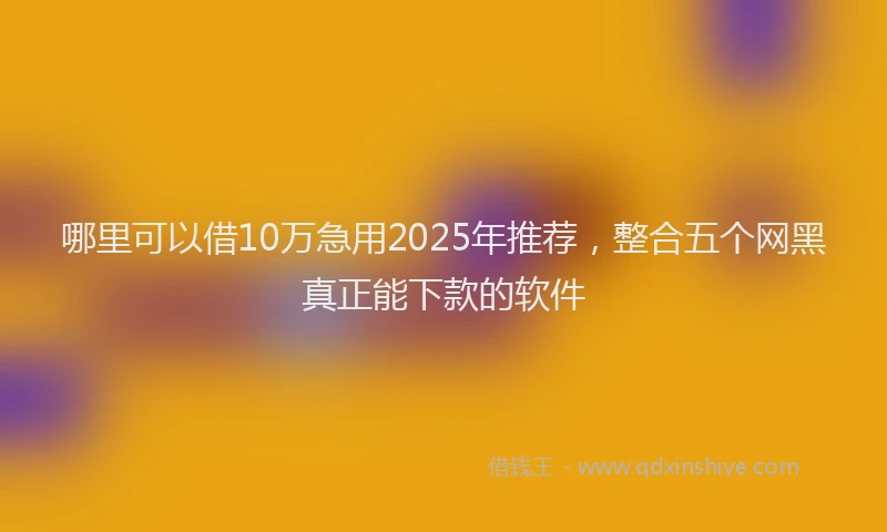 哪里可以借10万急用2025年推荐，整合五个网黑真正能下款的软件