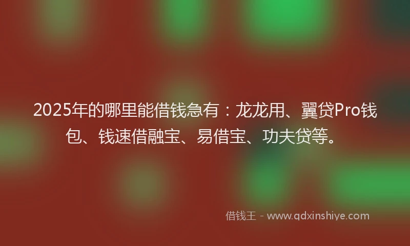 2025年的哪里能借钱急有：龙龙用、翼贷Pro钱包、钱速借融宝、易借宝、功夫贷等。