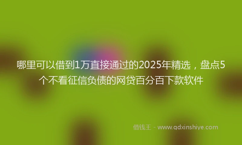 哪里可以借到1万直接通过的2025年精选，盘点5个不看征信负债的网贷百分百下款软件