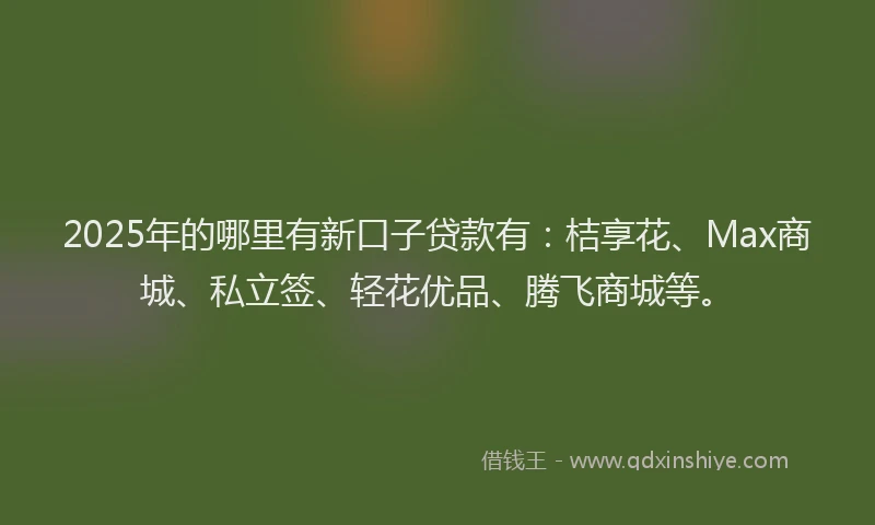 2025年的哪里有新口子贷款有：桔享花、Max商城、私立签、轻花优品、腾飞商城等。