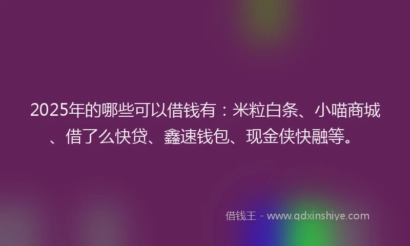 2025年的哪些可以借钱有：米粒白条、小喵商城、借了么快贷、鑫速钱包、现金侠快融等。