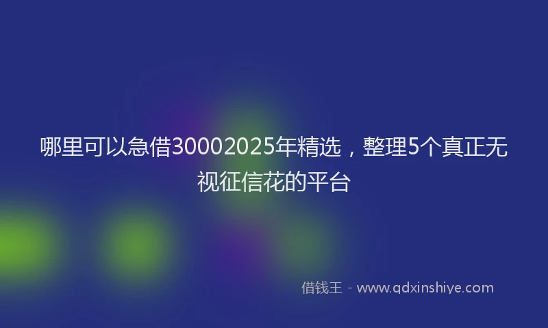 哪里可以急借30002025年精选，整理5个真正无视征信花的平台