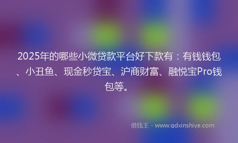 2025年的哪些小微贷款平台好下款有：有钱钱包、小丑鱼、现金秒贷宝、沪商财富、融悦宝Pro钱包等。