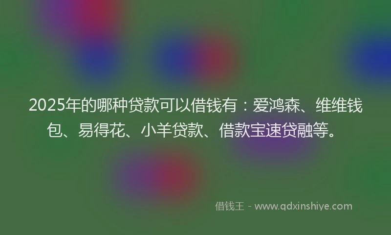 2025年的哪种贷款可以借钱有：爱鸿森、维维钱包、易得花、小羊贷款、借款宝速贷融等。