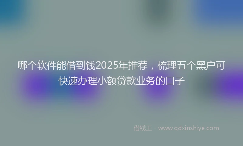 哪个软件能借到钱2025年推荐，梳理五个黑户可快速办理小额贷款业务的口子