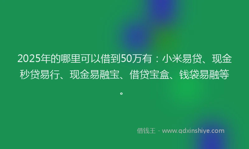 2025年的哪里可以借到50万有：小米易贷、现金秒贷易行、现金易融宝、借贷宝盒、钱袋易融等。