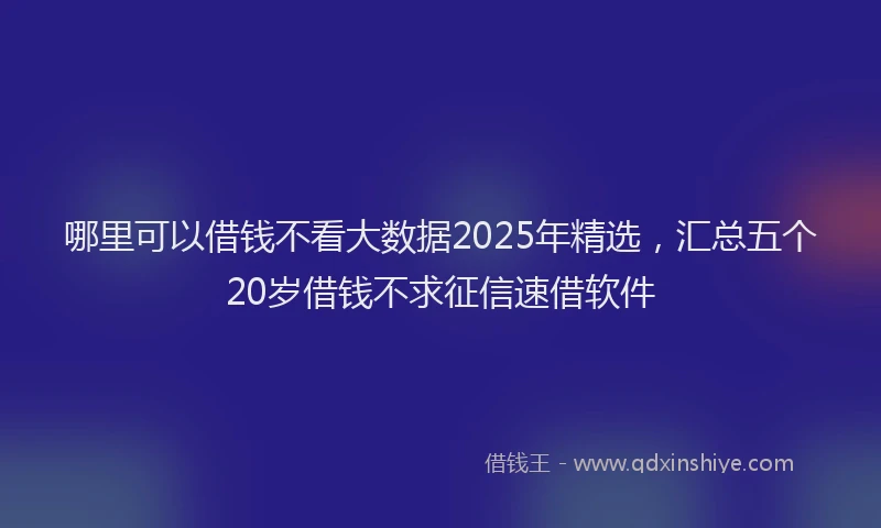 哪里可以借钱不看大数据2025年精选，汇总五个20岁借钱不求征信速借软件
