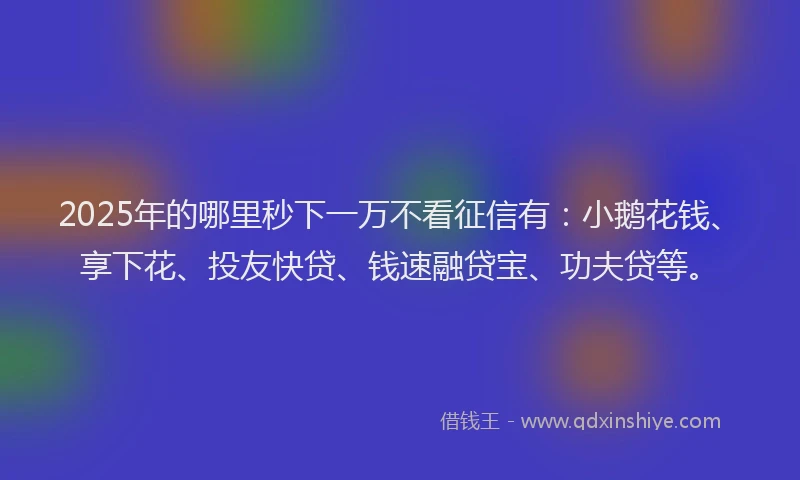 2025年的哪里秒下一万不看征信有：小鹅花钱、享下花、投友快贷、钱速融贷宝、功夫贷等。