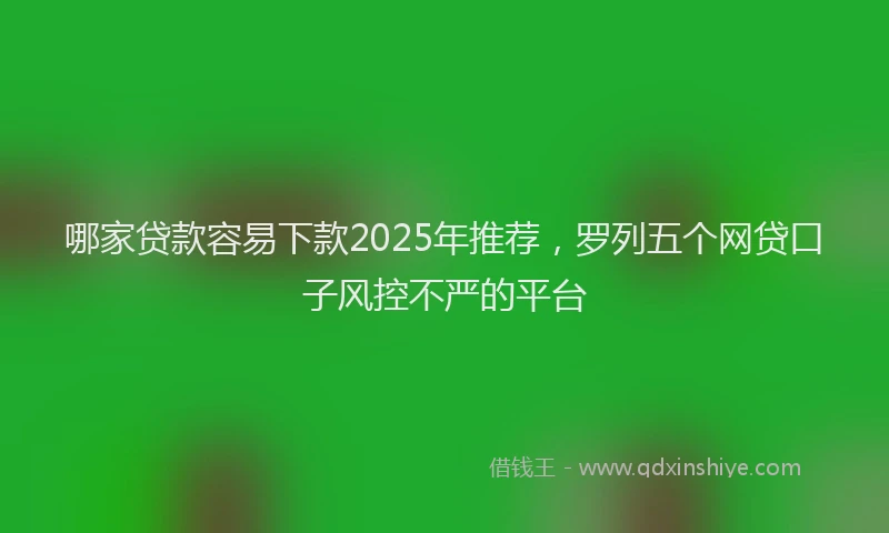 哪家贷款容易下款2025年推荐，罗列五个网贷口子风控不严的平台