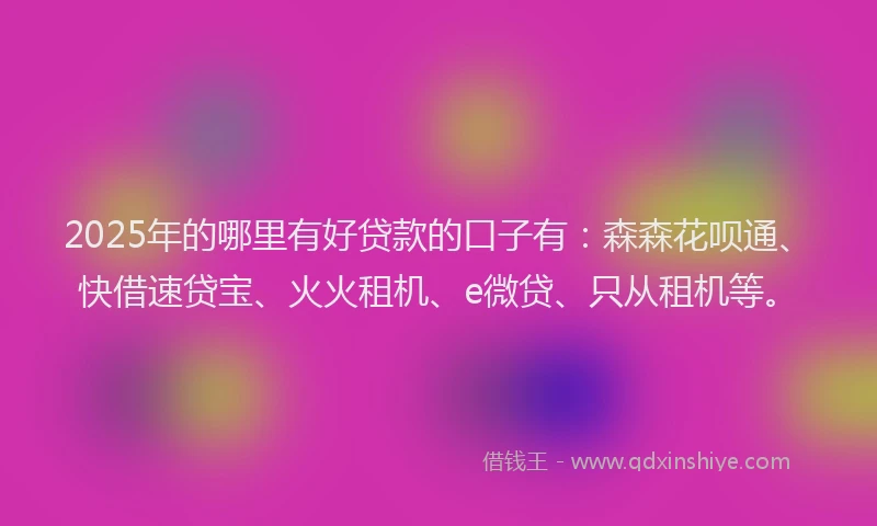 2025年的哪里有好贷款的口子有：森森花呗通、快借速贷宝、火火租机、e微贷、只从租机等。