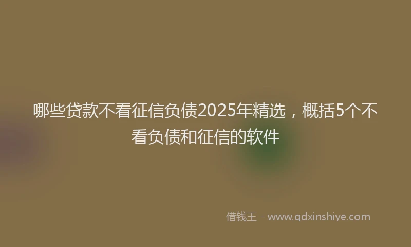 哪些贷款不看征信负债2025年精选，概括5个不看负债和征信的软件