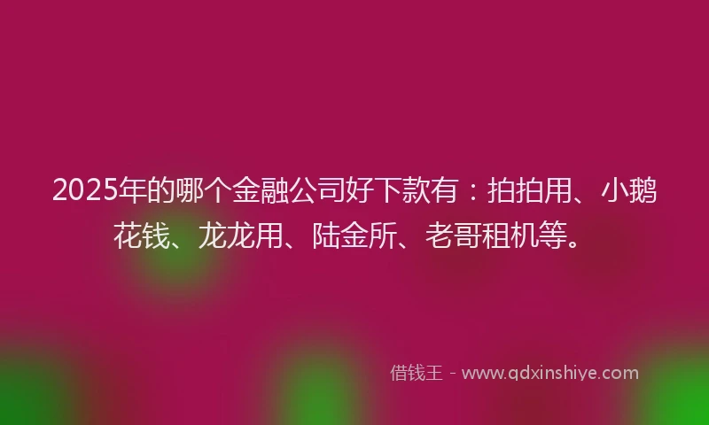 2025年的哪个金融公司好下款有：拍拍用、小鹅花钱、龙龙用、陆金所、老哥租机等。