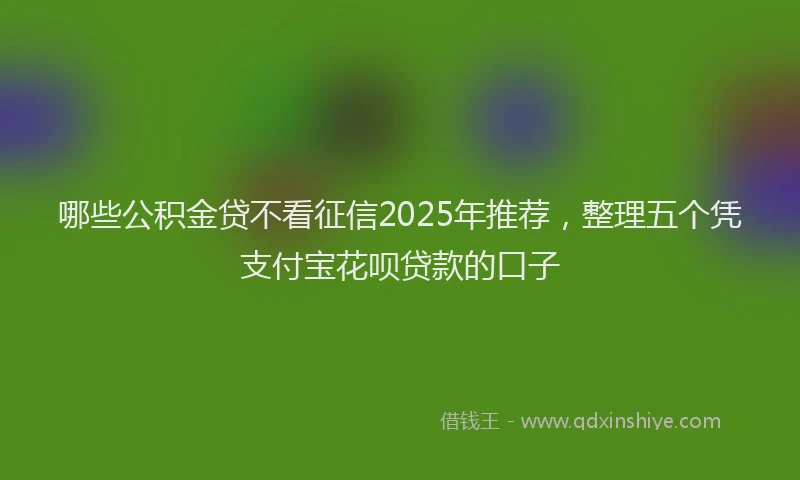 哪些公积金贷不看征信2025年推荐，整理五个凭支付宝花呗贷款的口子