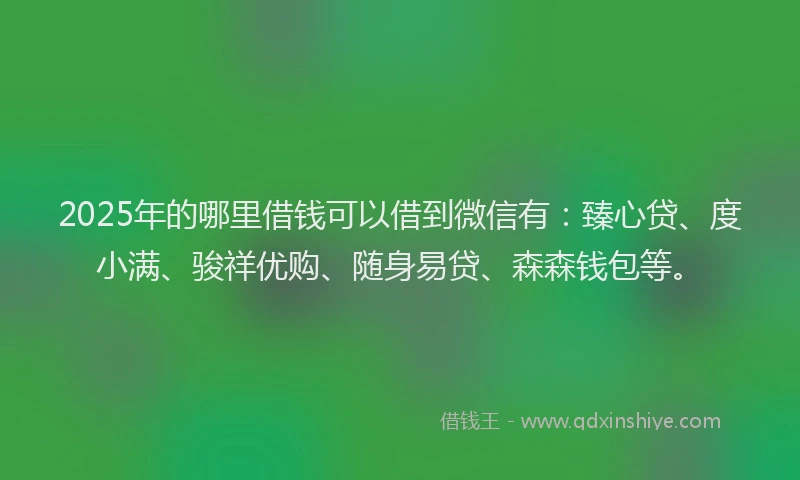 2025年的哪里借钱可以借到微信有：臻心贷、度小满、骏祥优购、随身易贷、森森钱包等。