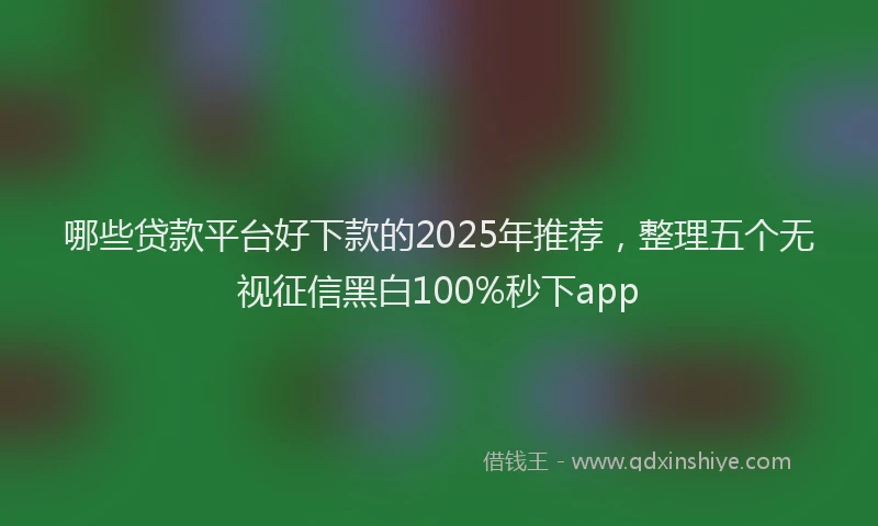 哪些贷款平台好下款的2025年推荐，整理五个无视征信黑白100%秒下app