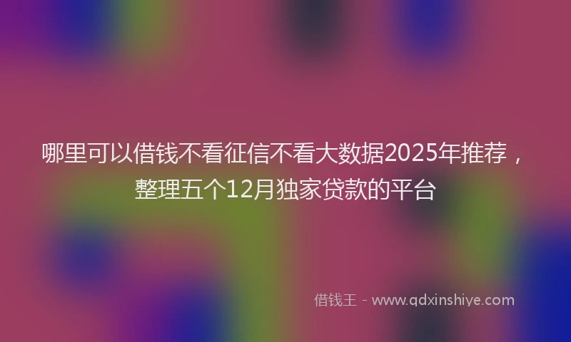哪里可以借钱不看征信不看大数据2025年推荐，整理五个12月独家贷款的平台