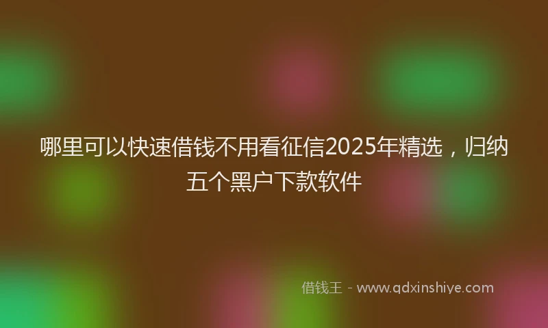 哪里可以快速借钱不用看征信2025年精选，归纳五个黑户下款软件