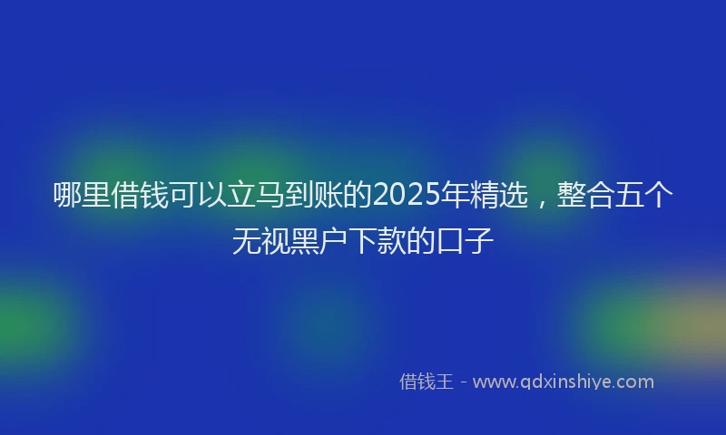 哪里借钱可以立马到账的2025年精选，整合五个无视黑户下款的口子