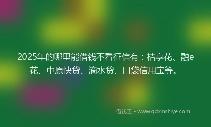 2025年的哪里能借钱不看征信有：桔享花、融e花、中原快贷、滴水贷、口袋信用宝等。
