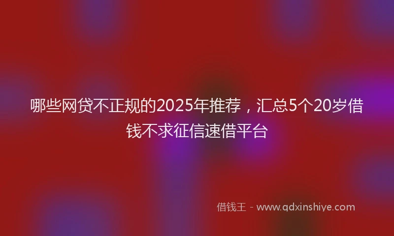 哪些网贷不正规的2025年推荐，汇总5个20岁借钱不求征信速借平台