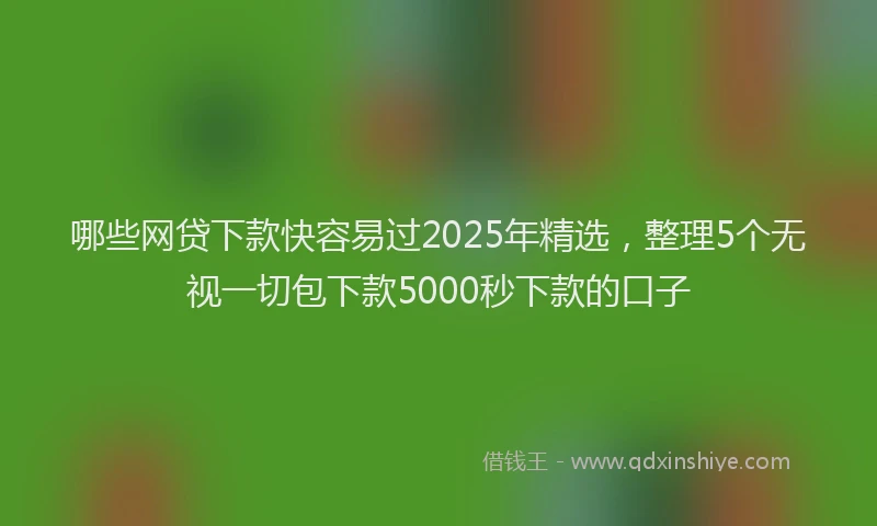 哪些网贷下款快容易过2025年精选，整理5个无视一切包下款5000秒下款的口子