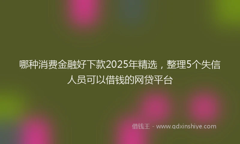 哪种消费金融好下款2025年精选，整理5个失信人员可以借钱的网贷平台