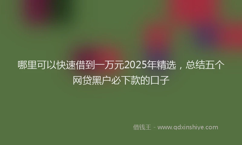 哪里可以快速借到一万元2025年精选，总结五个网贷黑户必下款的口子