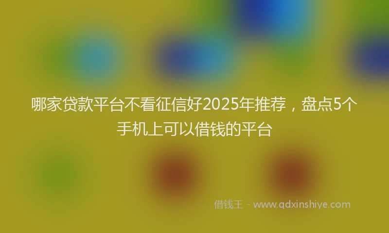 哪家贷款平台不看征信好2025年推荐，盘点5个手机上可以借钱的平台