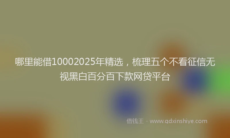 哪里能借10002025年精选，梳理五个不看征信无视黑白百分百下款网贷平台