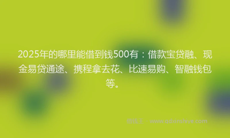 2025年的哪里能借到钱500有：借款宝贷融、现金易贷通途、携程拿去花、比速易购、智融钱包等。
