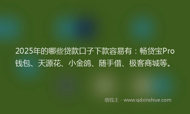 2025年的哪些贷款口子下款容易有：畅贷宝Pro钱包、天源花、小金鸽、随手借、极客商城等。