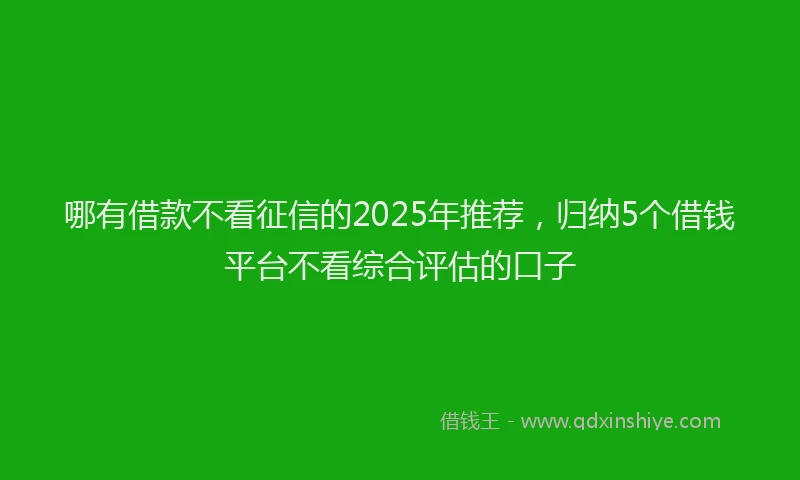 哪有借款不看征信的2025年推荐，归纳5个借钱平台不看综合评估的口子