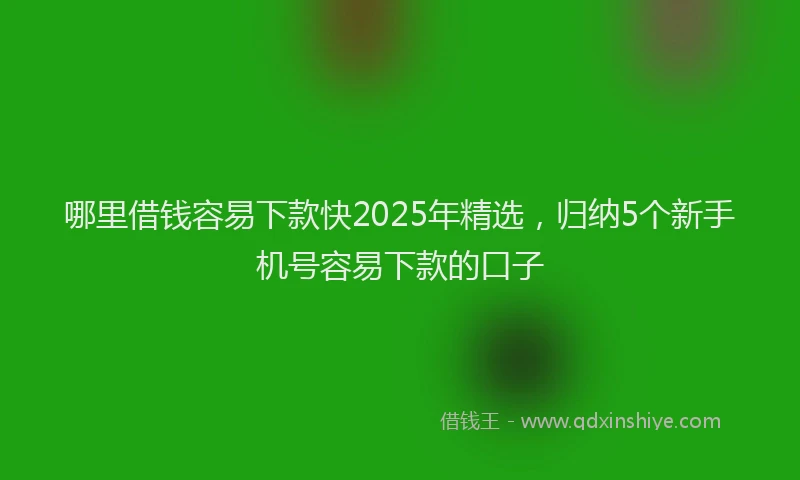 哪里借钱容易下款快2025年精选，归纳5个新手机号容易下款的口子