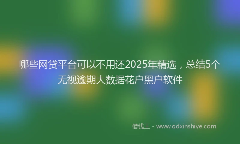 哪些网贷平台可以不用还2025年精选，总结5个无视逾期大数据花户黑户软件
