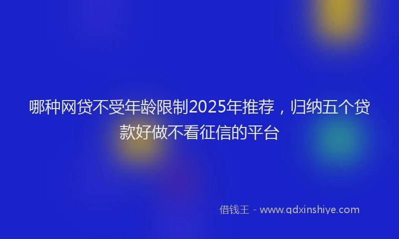 哪种网贷不受年龄限制2025年推荐，归纳五个贷款好做不看征信的平台