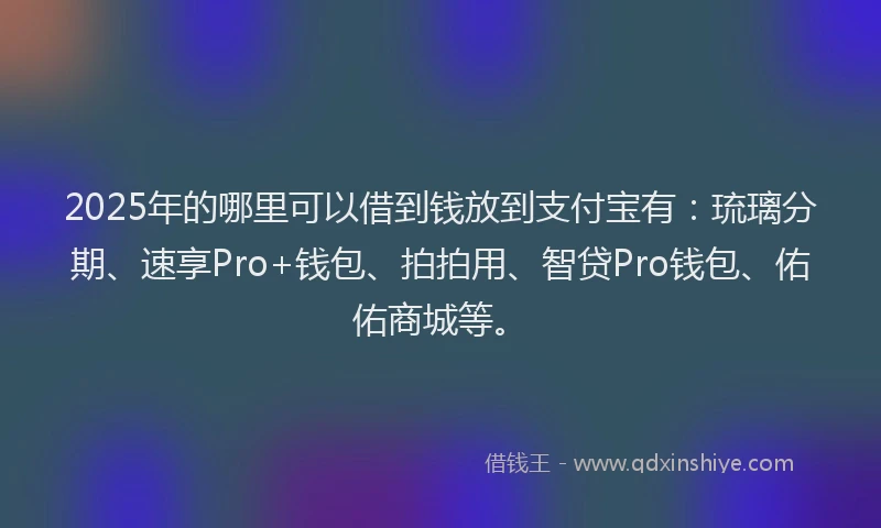 2025年的哪里可以借到钱放到支付宝有：琉璃分期、速享Pro+钱包、拍拍用、智贷Pro钱包、佑佑商城等。
