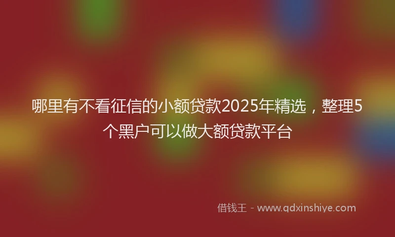哪里有不看征信的小额贷款2025年精选，整理5个黑户可以做大额贷款平台