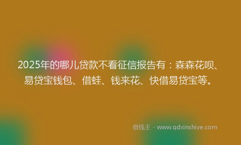 2025年的哪儿贷款不看征信报告有：森森花呗、易贷宝钱包、借蛙、钱来花、快借易贷宝等。