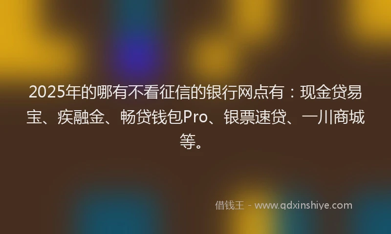 2025年的哪有不看征信的银行网点有：现金贷易宝、疾融金、畅贷钱包Pro、银票速贷、一川商城等。