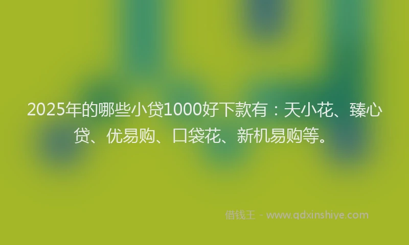 2025年的哪些小贷1000好下款有：天小花、臻心贷、优易购、口袋花、新机易购等。