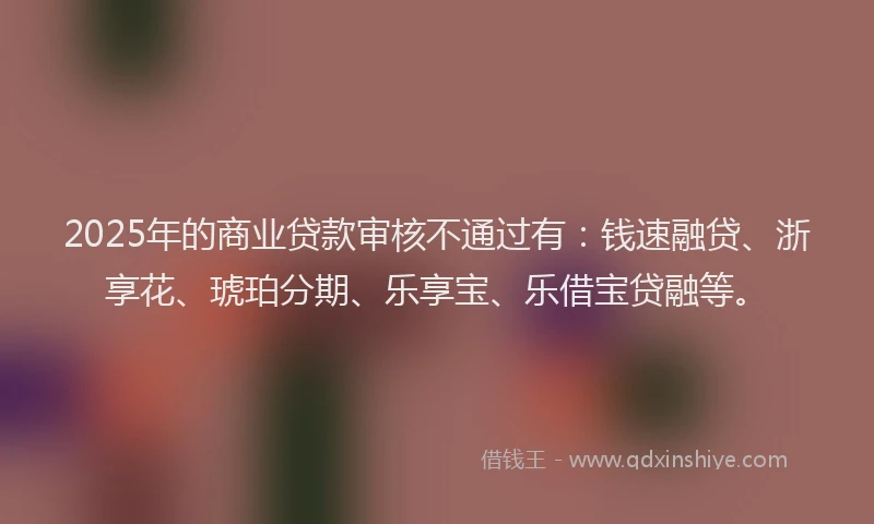 2025年的商业贷款审核不通过有：钱速融贷、浙享花、琥珀分期、乐享宝、乐借宝贷融等。