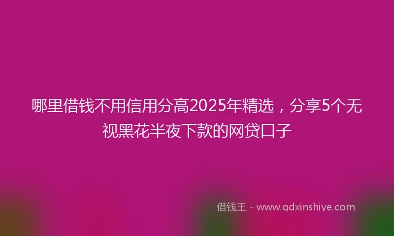 哪里借钱不用信用分高2025年精选，分享5个无视黑花半夜下款的网贷口子