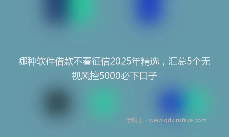 哪种软件借款不看征信2025年精选，汇总5个无视风控5000必下口子