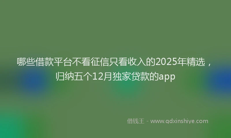 哪些借款平台不看征信只看收入的2025年精选，归纳五个12月独家贷款的app