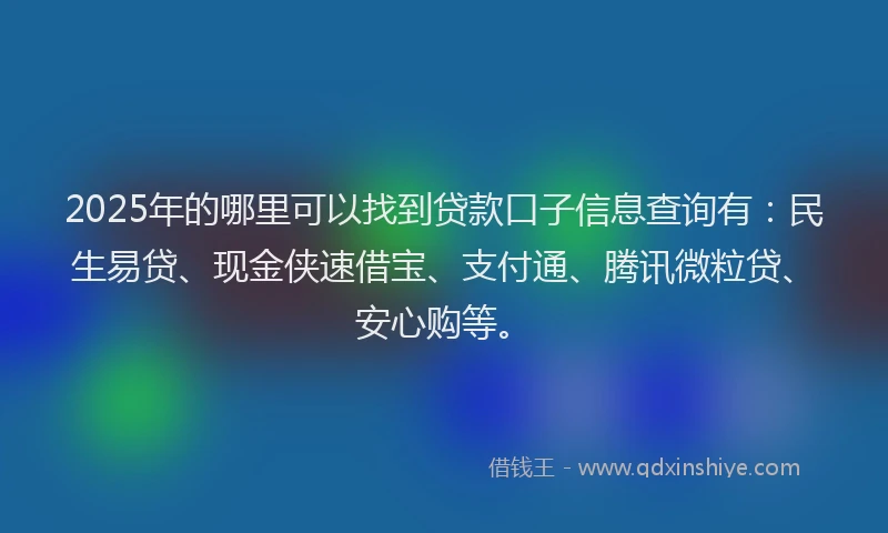2025年的哪里可以找到贷款口子信息查询有：民生易贷、现金侠速借宝、支付通、腾讯微粒贷、安心购等。